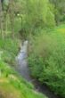 Neuwertige 2 Zimmer- Erdgeschosswohnung in direkter Nachbarschaft zur Natur!!! - Die Natur als Nachbar